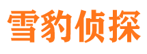 惠来侦探公司